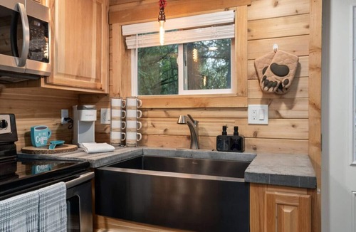 Paradise Estates Cabin | Mt Rainier Cottage-Sauna! Hot Tub! Patio! Firepit!