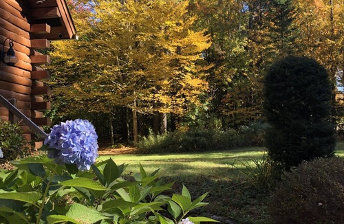 Goshen Cabin | Mt Sunapee Spacious Log Cabin