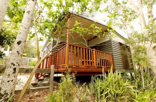 Mount Warning Other | Mt Warning Rainforest Park