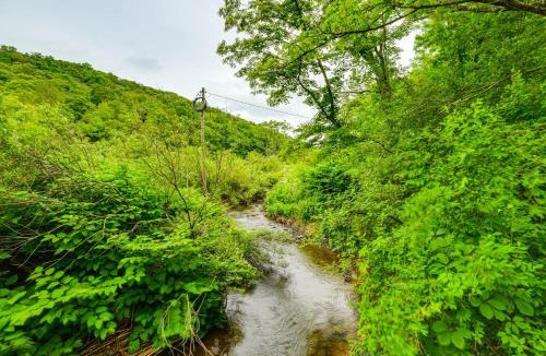 Long Eddy House | Mtn-View Deck & Grill: Creekside Catskills Cabin!