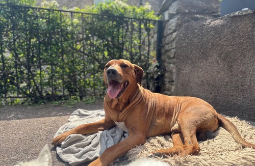 Kirkby Stephen Apartment | Muddy Boots – Scarpa.