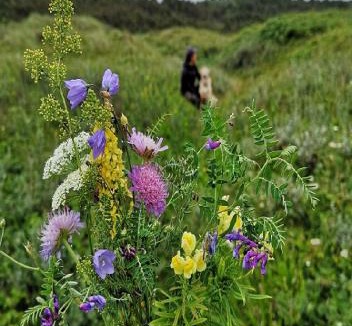 Hirtshals Hotel | Munchs Badehotel