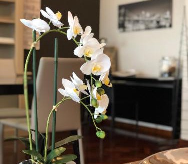 Tudela Apartment | Mundo-Abeona
