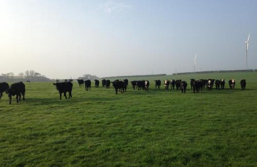 East Haddon Bed & Breakfast | Murcott Mill