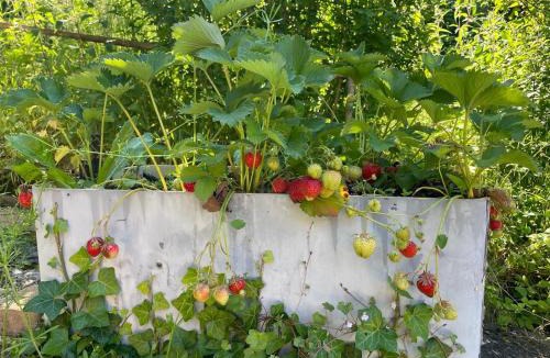 Forges-les-Bains House | Murmure de la Forêt