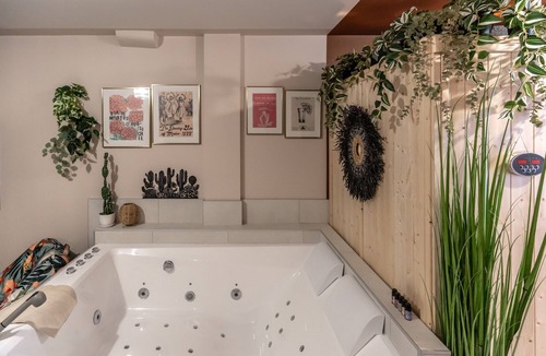 Blois Apartment | Murmures Cactus, Spa & Sauna à Blois