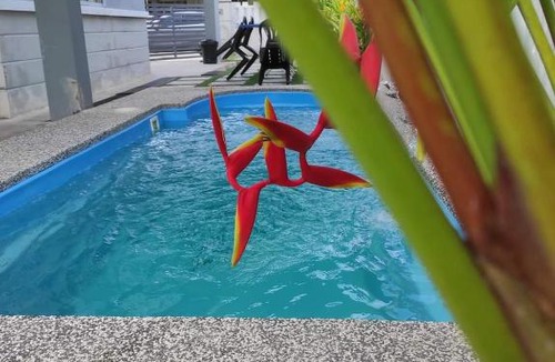 Guar Chempedak House | Murni Inn Pulasan