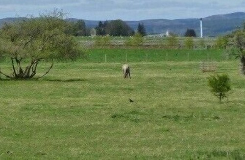 Glenmorangie Cottage | Murray Street Cottages