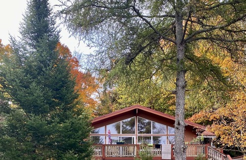Utterson Cabin | Muskoka Waterfront Cottage on a Quiet Lake