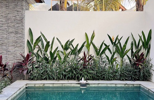 Pecatu House | Muzeum Villas: 2 Bedrooms, 2 Bathroom, Wi-Fi, Kitchen, Private Pool