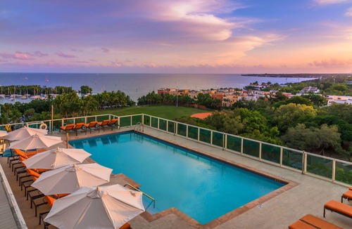 Coconut Grove Apartment | MVR - Limited Bay View Suites-Book Fast