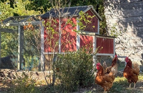 Saint-Leonard House | My country house with swimming pool