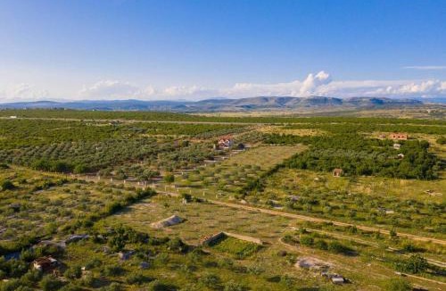 Cista Velika House | MY DALMATIA - Authentic Villa Storia with private heated pool