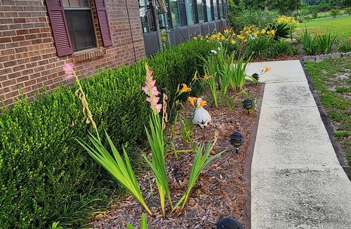 Cottondale House | My Happy Place 1 rm/master bath