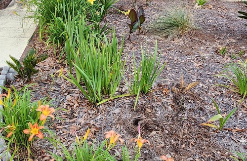 Cottondale House | My Happy Place 1 rm/master bath
