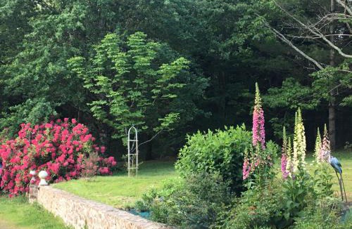 Saint-Saud-Lacoussiere Bed & Breakfast | My lilifab