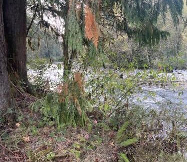 Marblemount House | Mystic Ivy