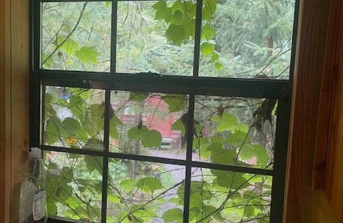 Marblemount Cabin | Mystic Ivy