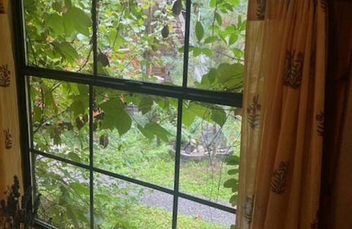 Marblemount Cabin | Mystic Ivy