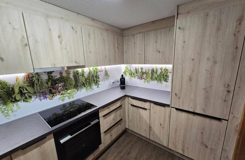 Fluehli Apartment | Nägeliboden