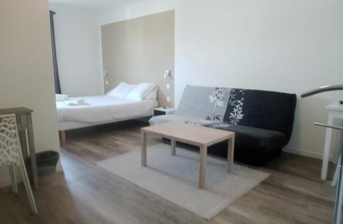 Sauvagnon Hotel | Némo