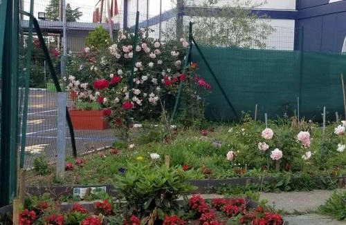 Trappes Hotel | N&Z HOTELS