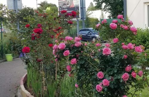 Trappes Hotel | N&Z HOTELS