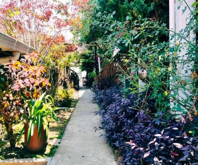 Kundasang Cabin | Nabalu Kundasang