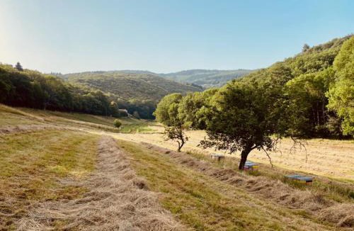 Courniou Bed & Breakfast | Nabat le Haut, chambre et table d'hotes