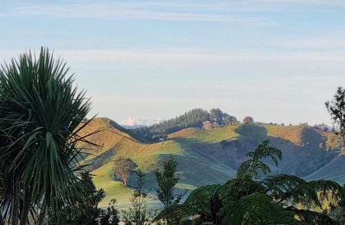 Otorohanga Bed & Breakfast | Nadarra Hideaway