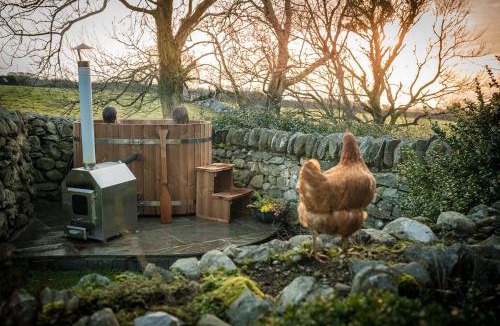 Dyffryn Ardudwy House | Nant