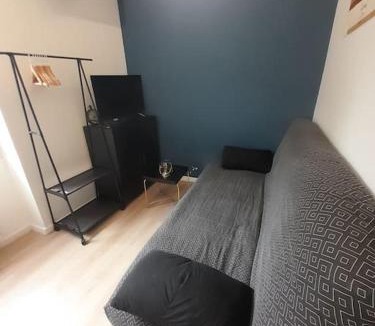 Ile de Nantes Palais des Congres Apartment | Nantes Mangin-direct gare-parking-proche commerces