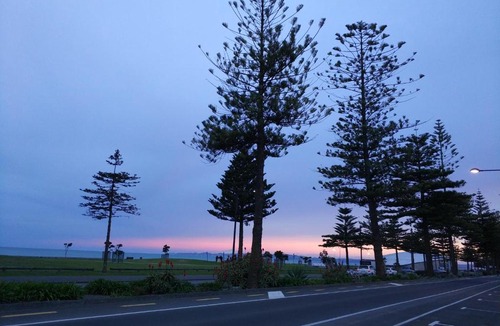 Napier Hostel | Napier Art House Backpackers