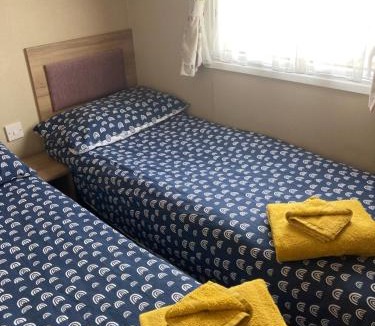 Ringwood Other | narcissus