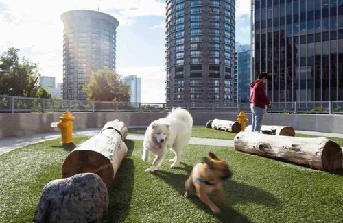 The Gulch Apartment | Nashville Central Luxe 2Bed 2Bath Suite