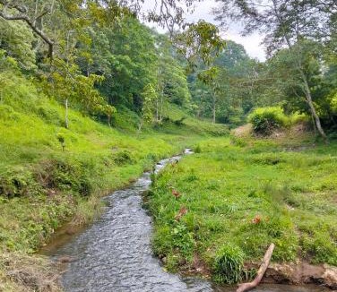 Kecamatan Montong Gading House | Nataqueen Bungalows Lombok