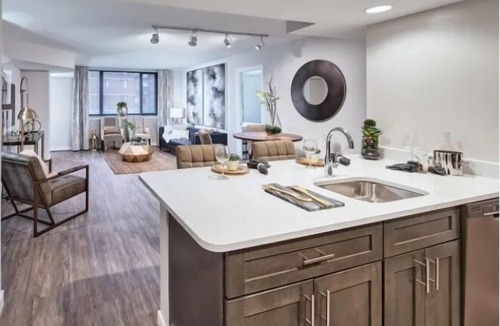 Court House Apartment | National at Courthouse Towers