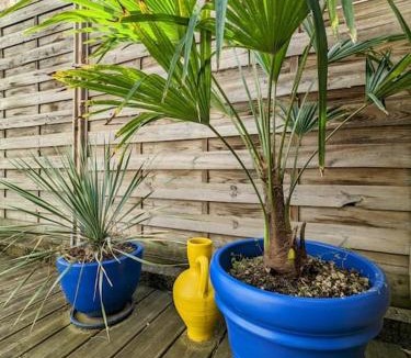 Le Coteau Apartment | Nationale 7, route des vacances