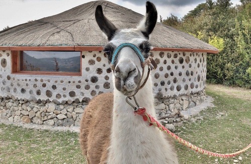 Bargeme Cabin | Natural African Case