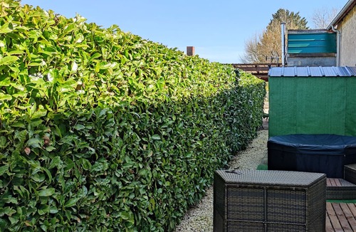 Pays d'Issoudun Apartment | Natural: Quiet and pleasant studio