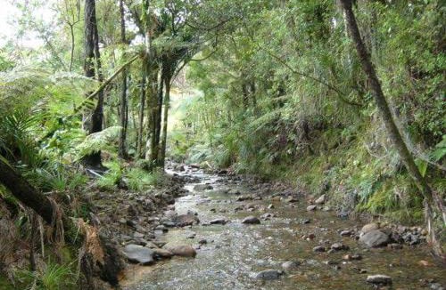 Amodeo Bay House | Nature at its Best