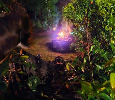 Amodeo Bay House | Nature at its Best