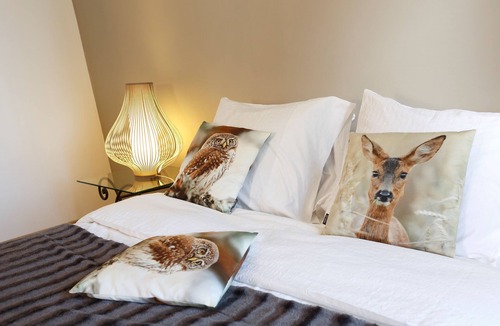 Chinon Apartment | Nature & Chateaux, Gite "Chenonceau"