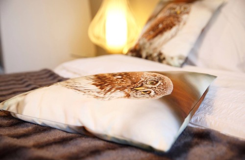 Chinon Apartment | Nature & Chateaux, Gite "Chenonceau"