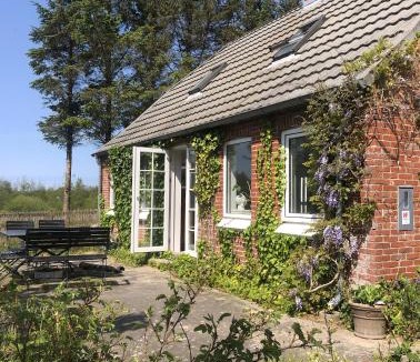 Thyholm House | Nature-Close Home Near Beach At Limfjorden