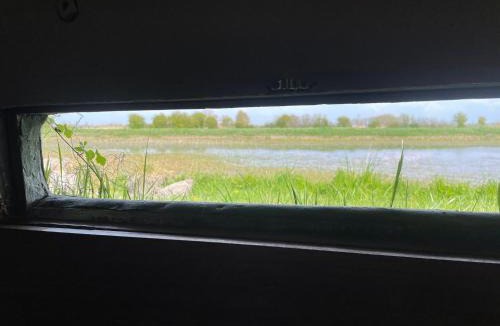 Quend Other | Nature en Somme
