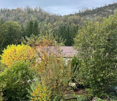 Bourg-de-Sirod Apartment | Nature et Découvertes 1 ch