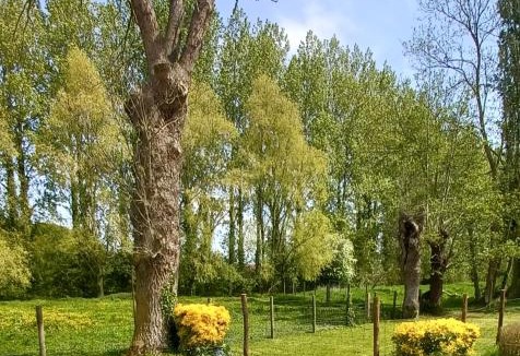 Wittes House | Nature et Moi