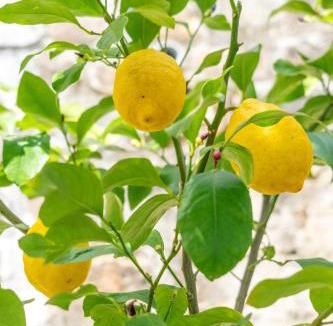 Correze House | Nature et Repos