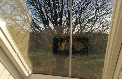 Haderslev House | Nature gem near Haderslev with 160-year-old beech